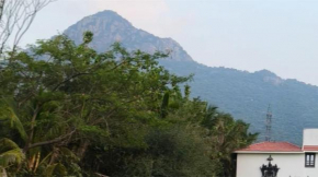 Narpavi homestay